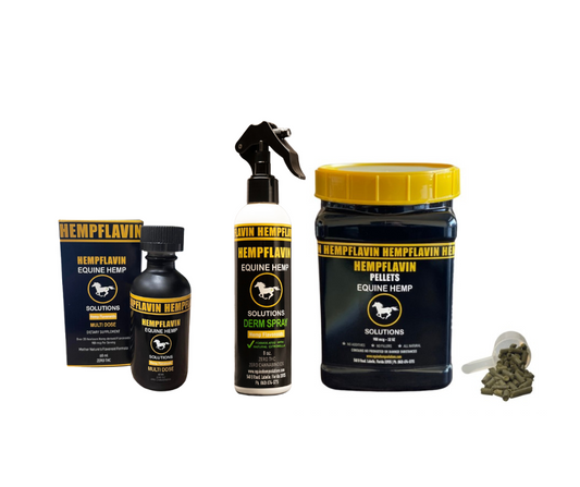 EQUINE PERFORMANCE/RECOVERY BUNDLE